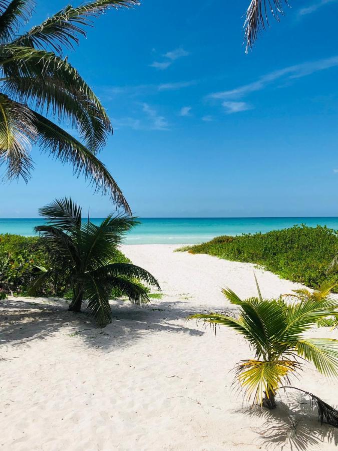 Cabana Tortuga A Unos Pasos De La Playa Leilighet El Cuyo Eksteriør bilde