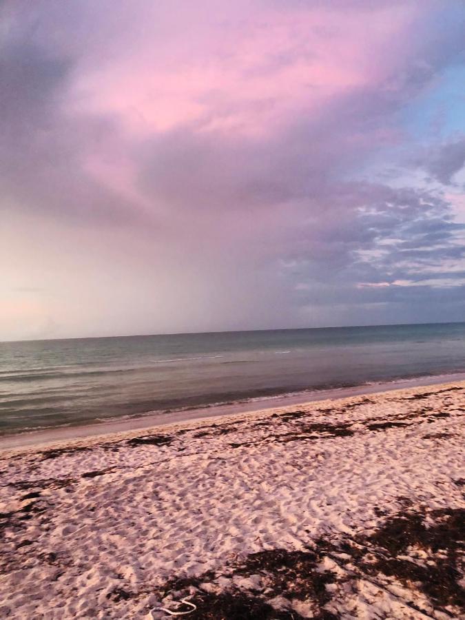 Cabana Tortuga A Unos Pasos De La Playa Leilighet El Cuyo Eksteriør bilde